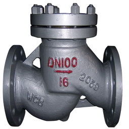 萬眾止回閥：品質(zhì)卓越，守護(hù)管道安全